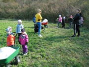 Ukliďme Česko - ukliďme cestu do lesa